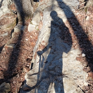 Fundraising Page: April Scott